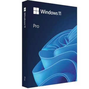 windows 11 pro
